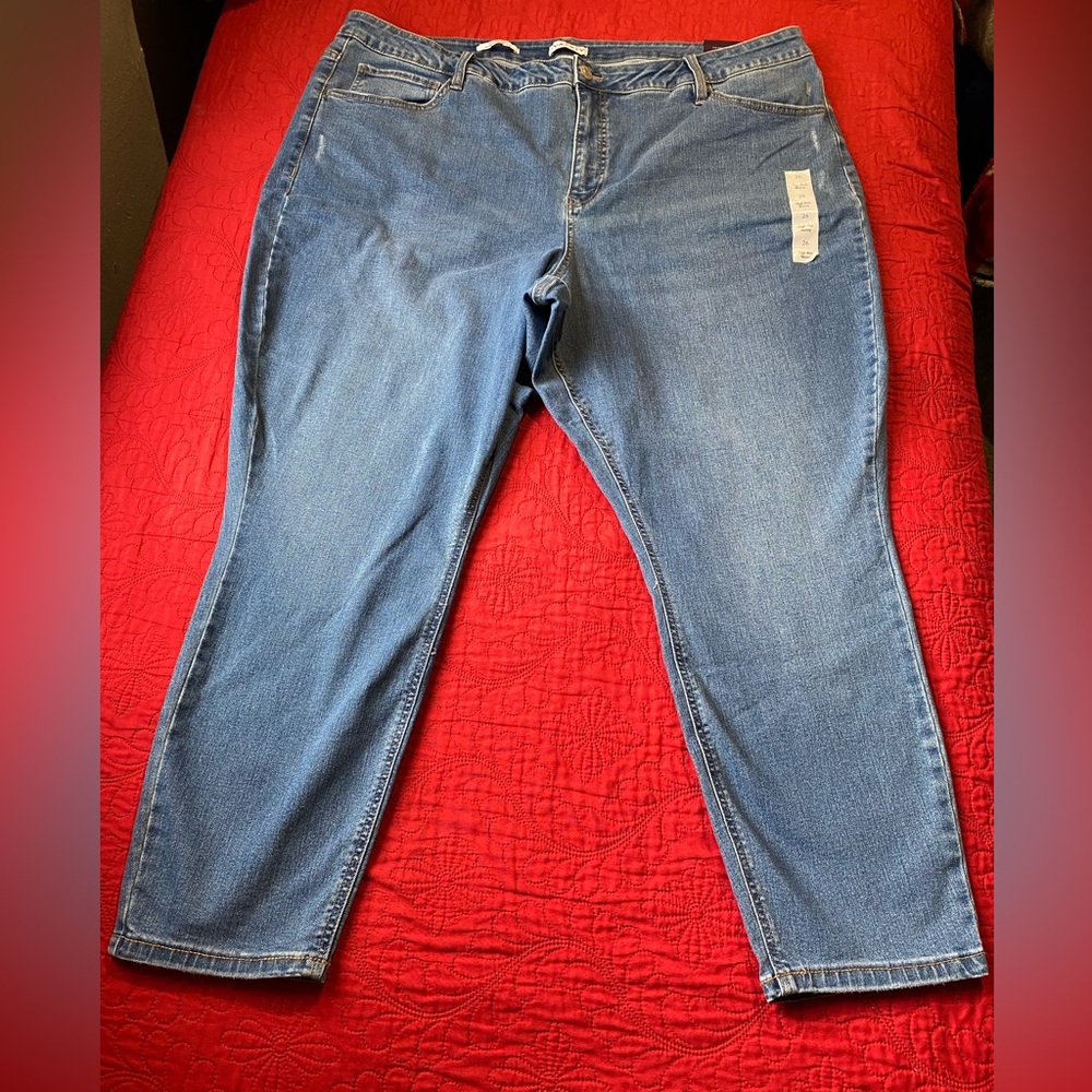 Ava & Viv Classic Denim Skinny Jeans